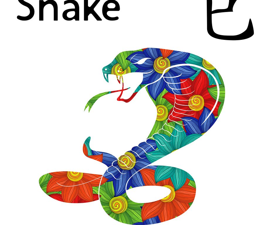 Quick facts about Snake