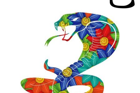 Year of the Snake – 2024 Horoscope