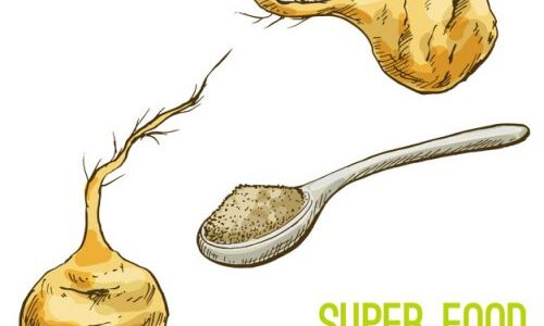 How long does it take to see results from maca root