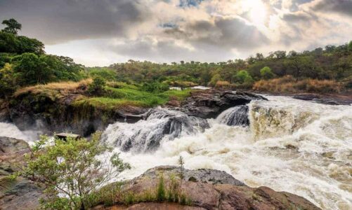 From Gorilla Trekking to Waterfall Chasing: Top Attractions in Uganda