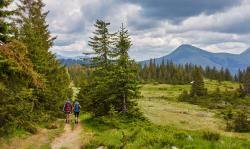 Exploring National Parks: A Guide to the Best Hiking Trails
