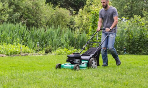 3 Different Types of Lawnmowers: Which Is Right For You – 2024 Guide